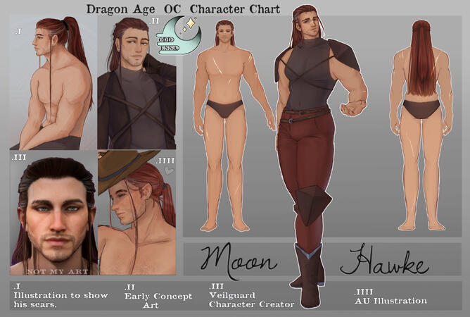 Dragon Age OC Chart : Moon Hawke